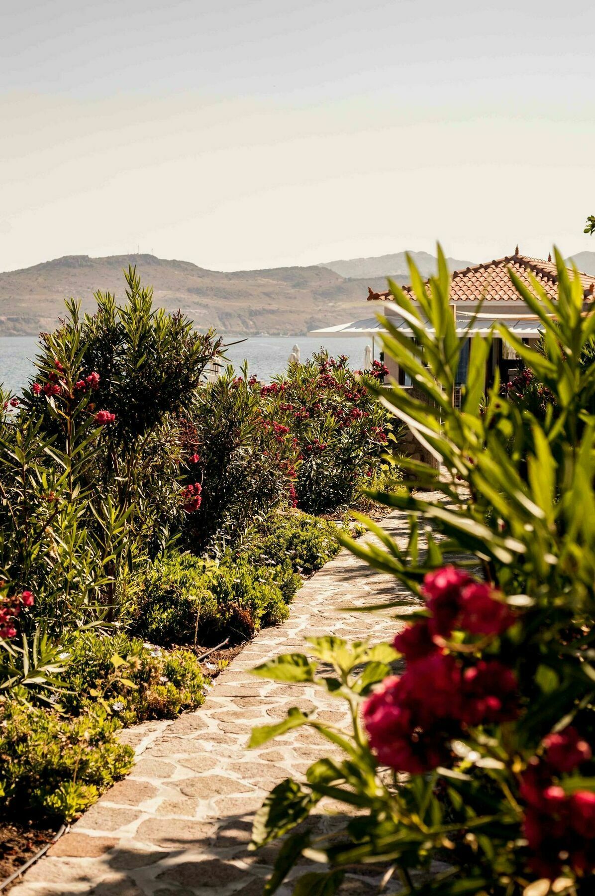 Little Bird Apartment Petra  Bagian luar foto